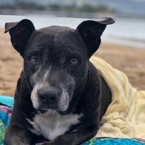 Meet your Posher, Briana